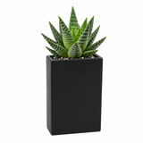 Tall Flat Rectangle - 12"H