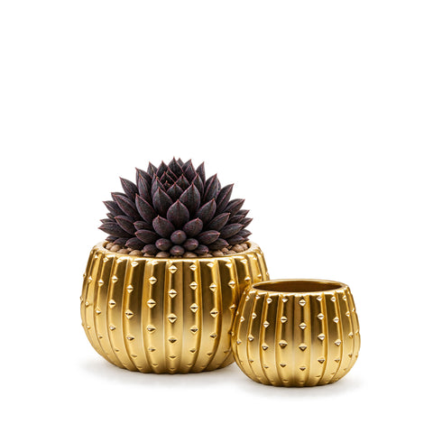 Matte Gold Ceramic Cactus Pot