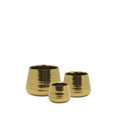 Gold Bowl Pot