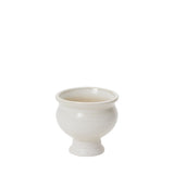 Dawson Compote