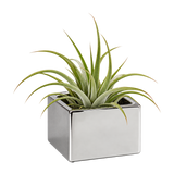 Short Square Ceramic Block Vase - 4"H