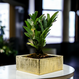 Short Square Ceramic Block Vase - 4"H