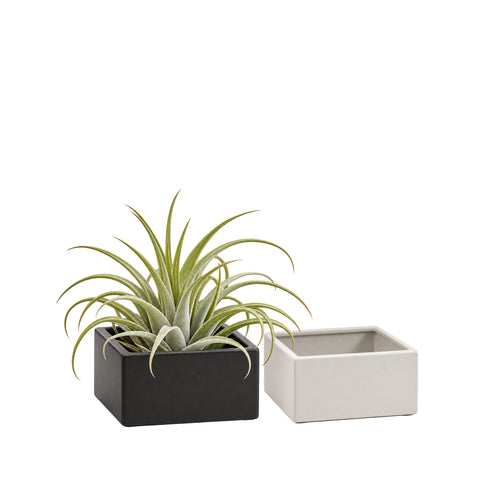 Short Square Ceramic Block Vase - 4"H