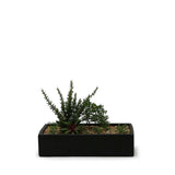 Long Rectangle - 12"