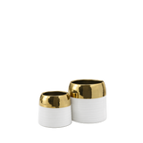 White Ceramic Pot with Gold Rim