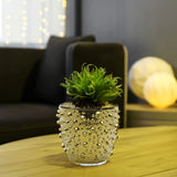 Gold Spike Pot