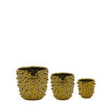 Gold Spike Pot