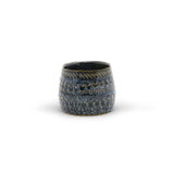 Fancy Blue Pot