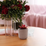 Special Pink Ceramic Pot