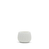 White Ceramic Cactus Pot