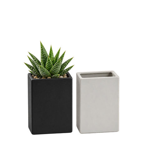 Tall Flat Rectangle - 10"H