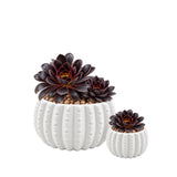 White Ceramic Cactus Pot