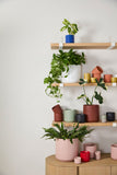 Kendall Pot XS — L+