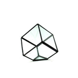 Black Cube Terrarium