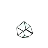 Black Cube Terrarium