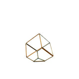 Gold Cube Terrarium