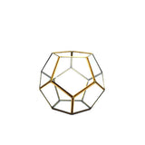 Gold Dodeca Terrarium