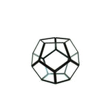Black Dodeca Terrarium