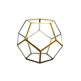 Gold Dodeca Terrarium