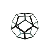 Black Dodeca Terrarium