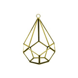Hanging Asteroid Terrarium