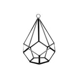 Hanging Asteroid Terrarium