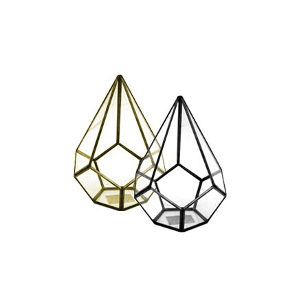 Asteroid Terrarium