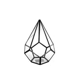 Asteroid Terrarium