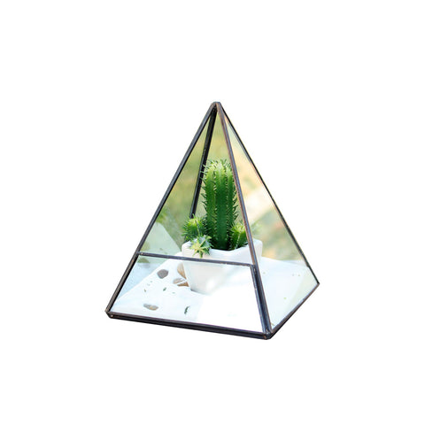 Geometric Terrarium GET0207BK