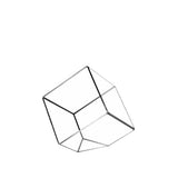 Geometric Terrarium GET0406
