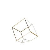 Geometric Terrarium GET0406