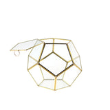 Geometric Terrarium GET1209