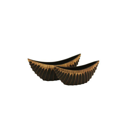 SOLAR SPINE BOAT